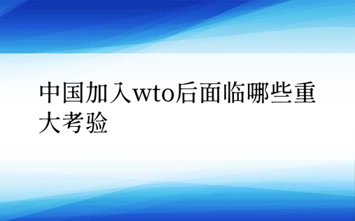 中国加入wto后面