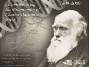 达尔文的进化论与科