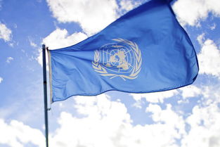 联合国以和平方式解